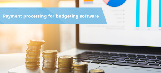 Payment processing for budgeting software