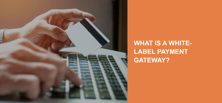 What is a White-Label Payment Gateway?